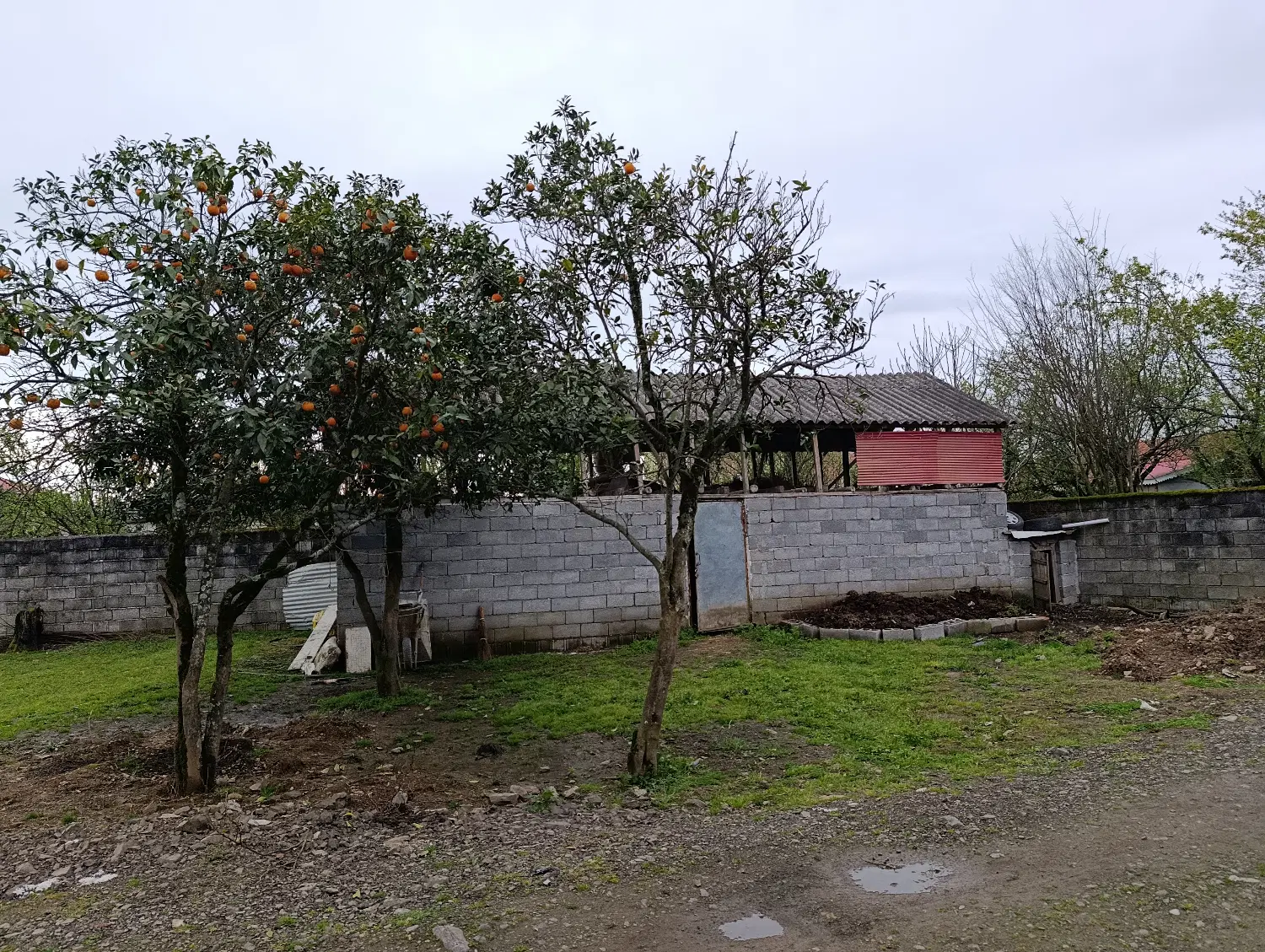تصویر املاک 118993