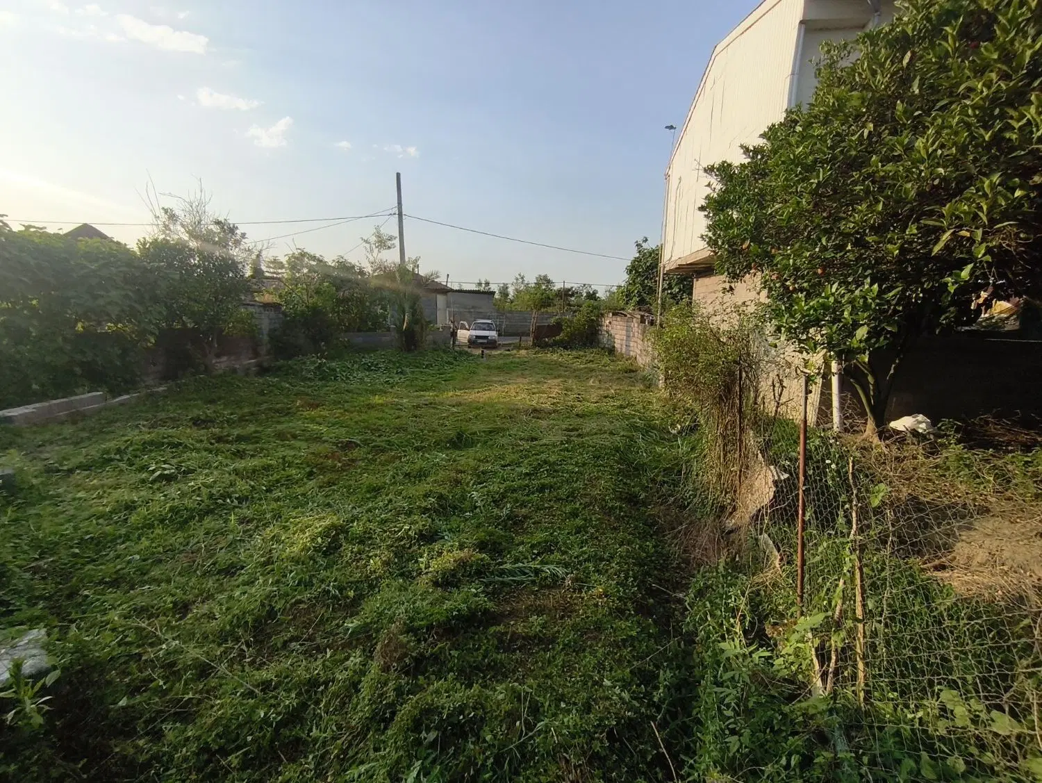 تصویر املاک 124946