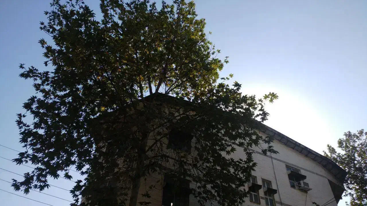 تصویر املاک 11942