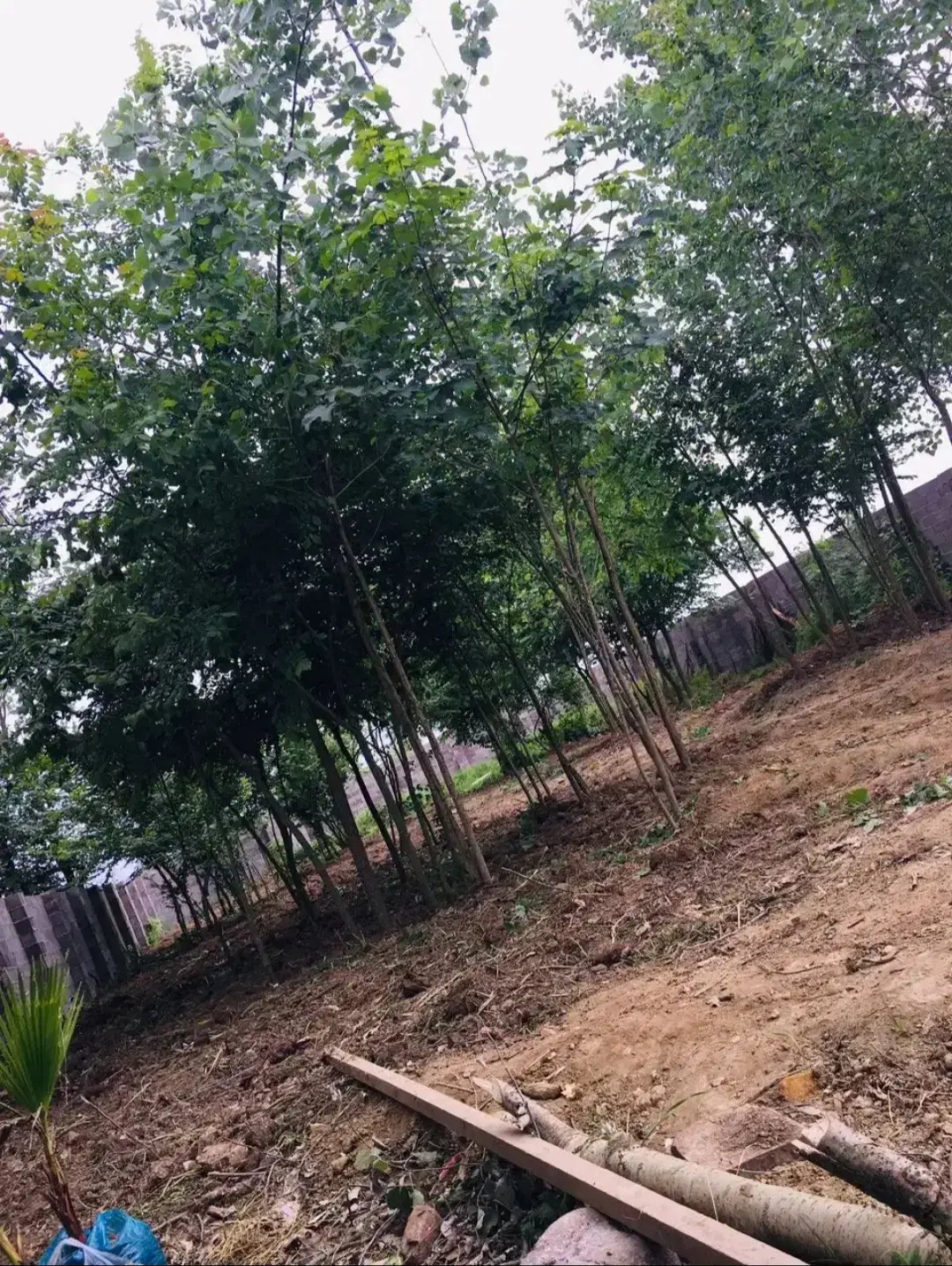 تصویر املاک 49487