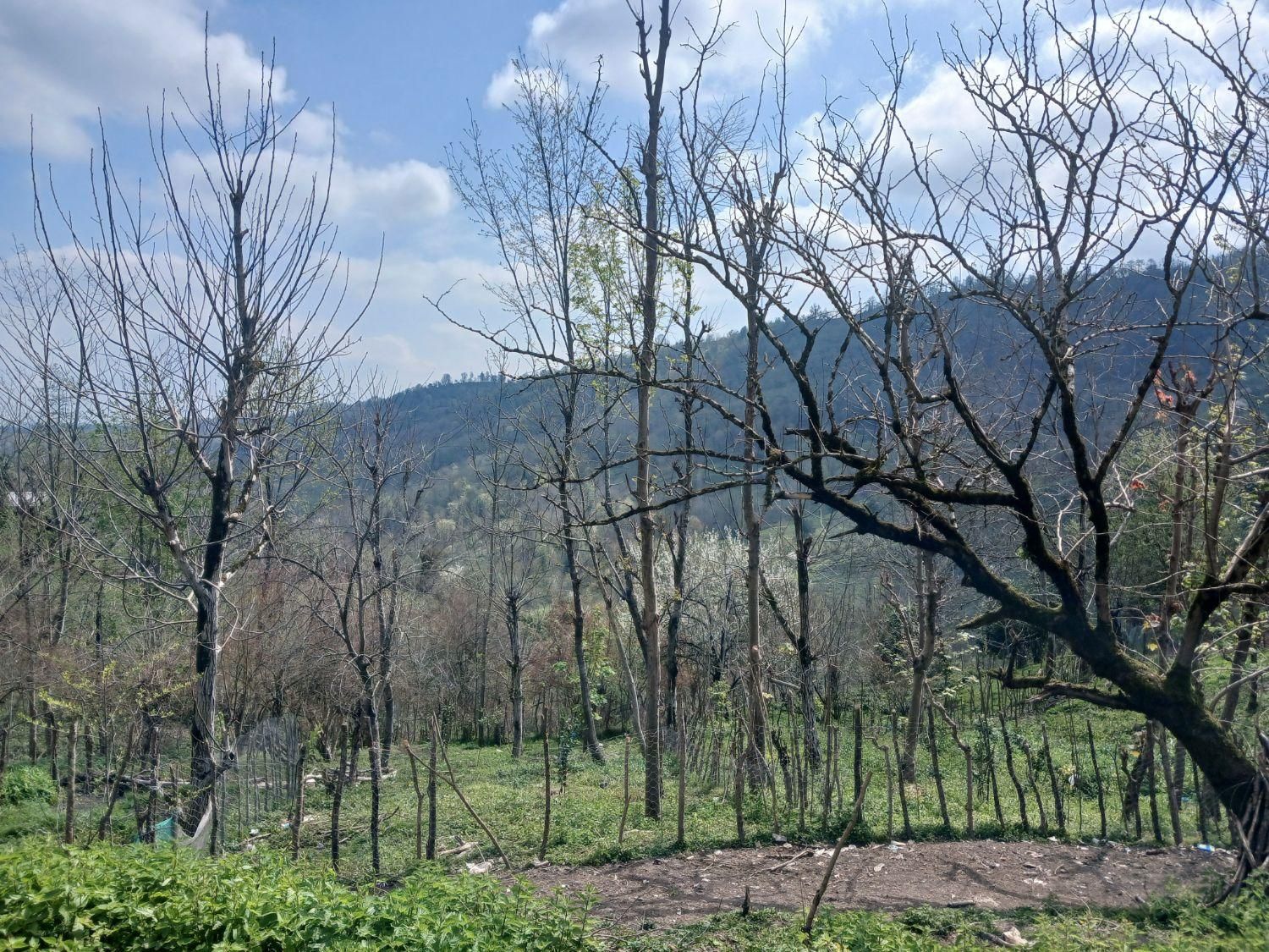 تصویر املاک 37927