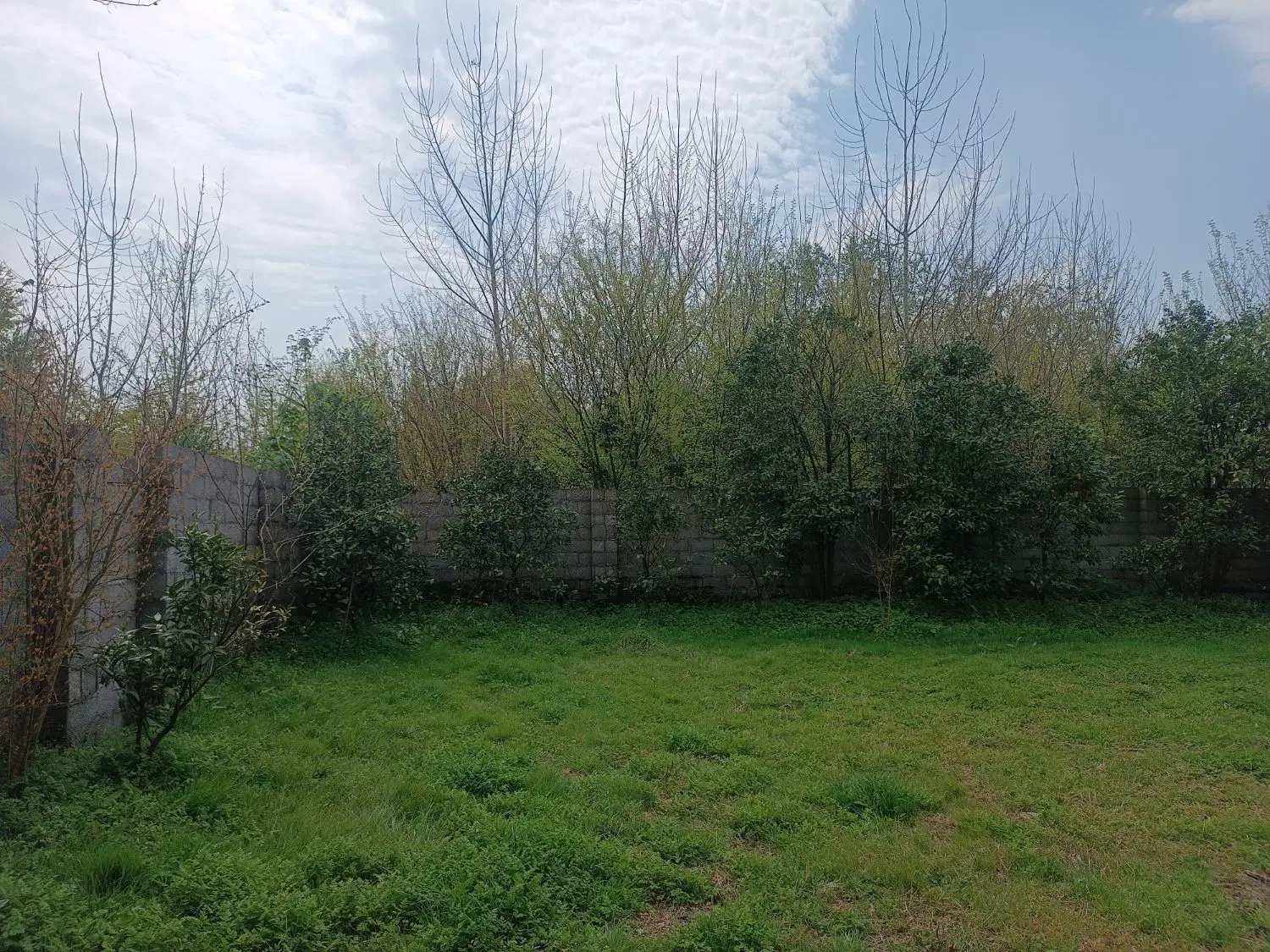 تصویر املاک 44750