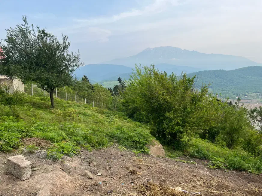 تصویر املاک 37986