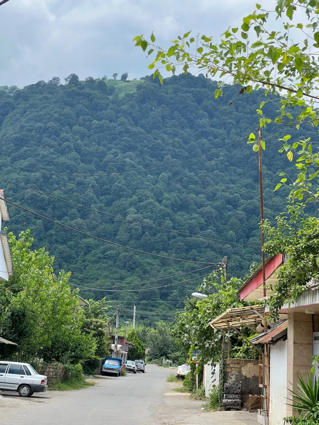 تصویر املاک 56578