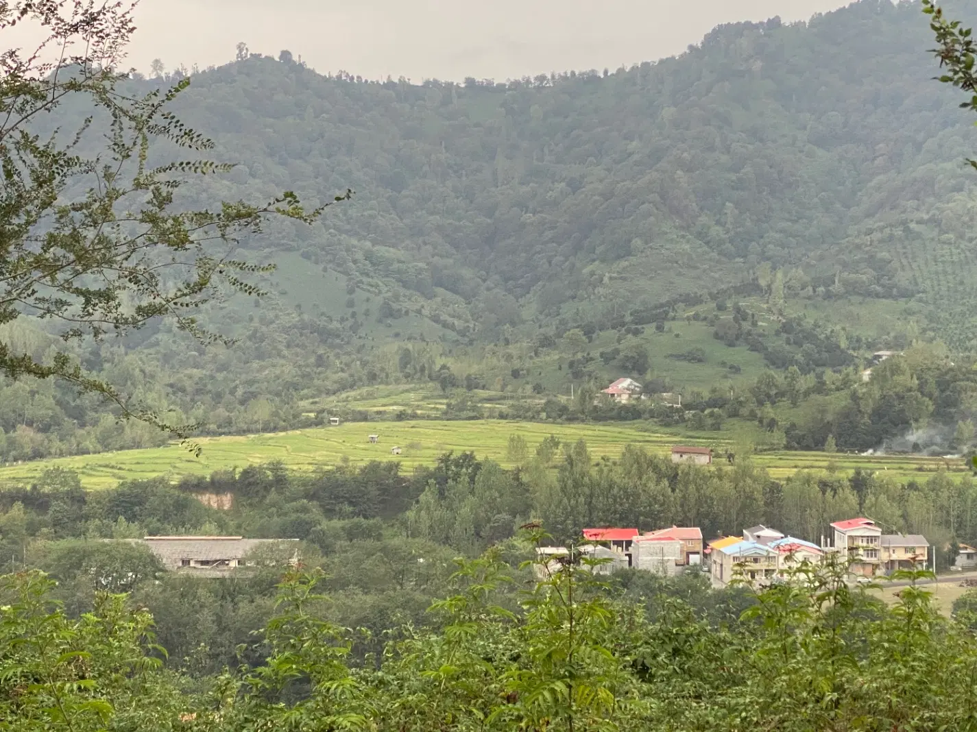 تصویر املاک 135375
