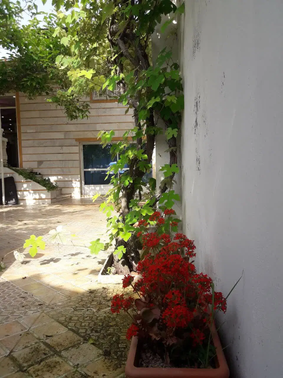 تصویر املاک 120595