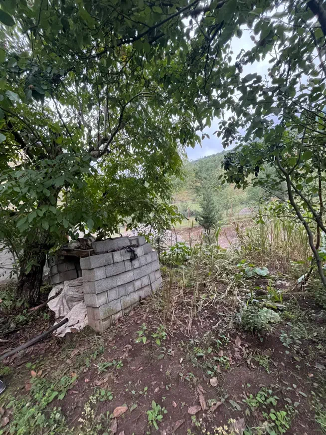 تصویر املاک 8224