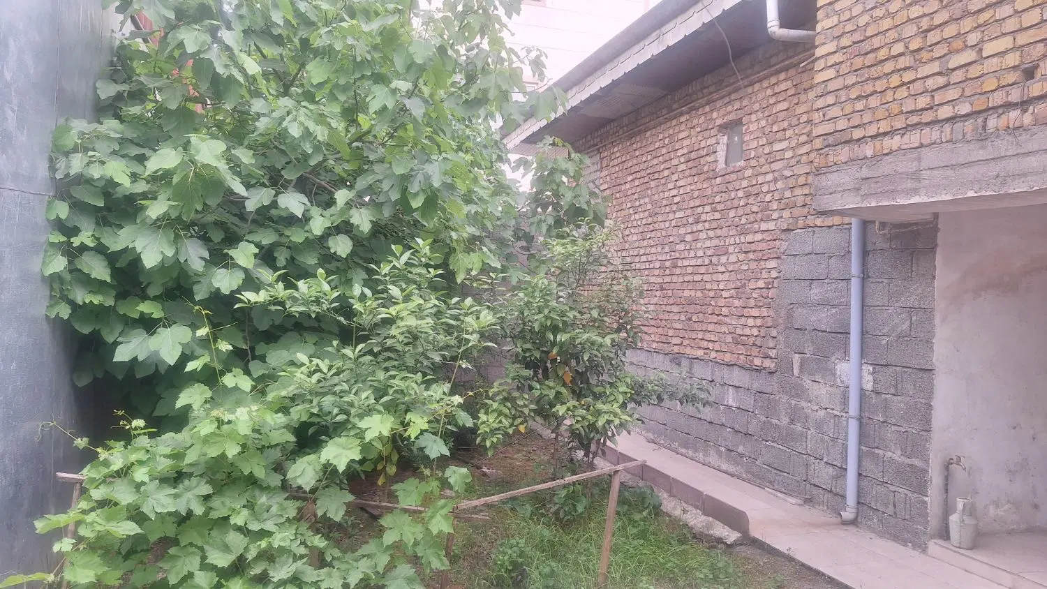 تصویر املاک 48836