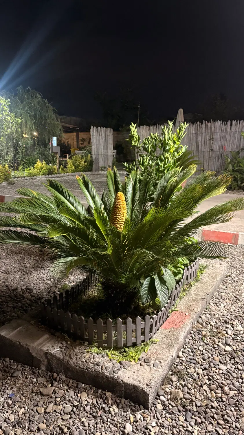تصویر املاک 81609