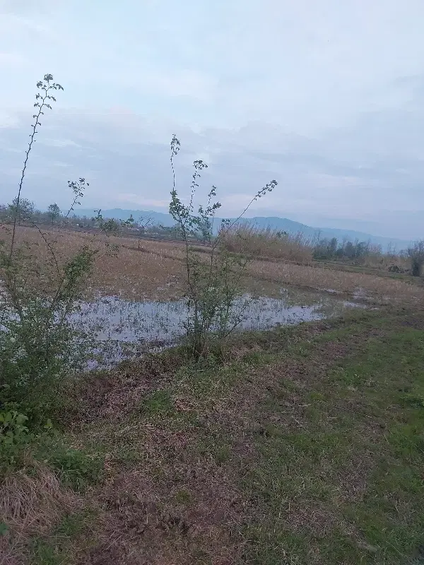تصویر املاک 54679