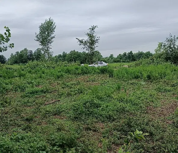 تصویر املاک 44744