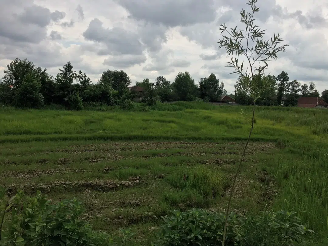 تصویر املاک 98900