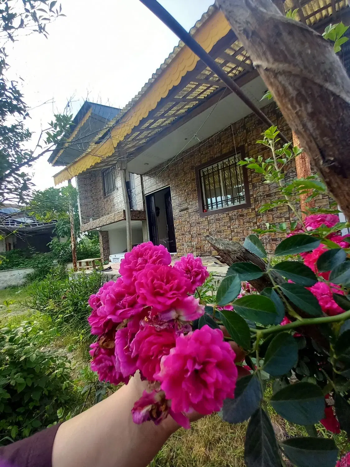 تصویر املاک 46410