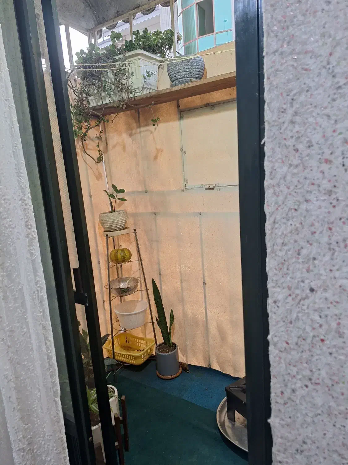 تصویر املاک 7798