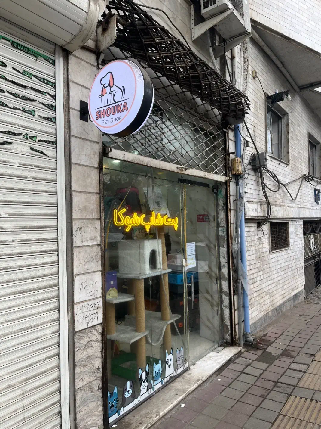 تصویر املاک 33701