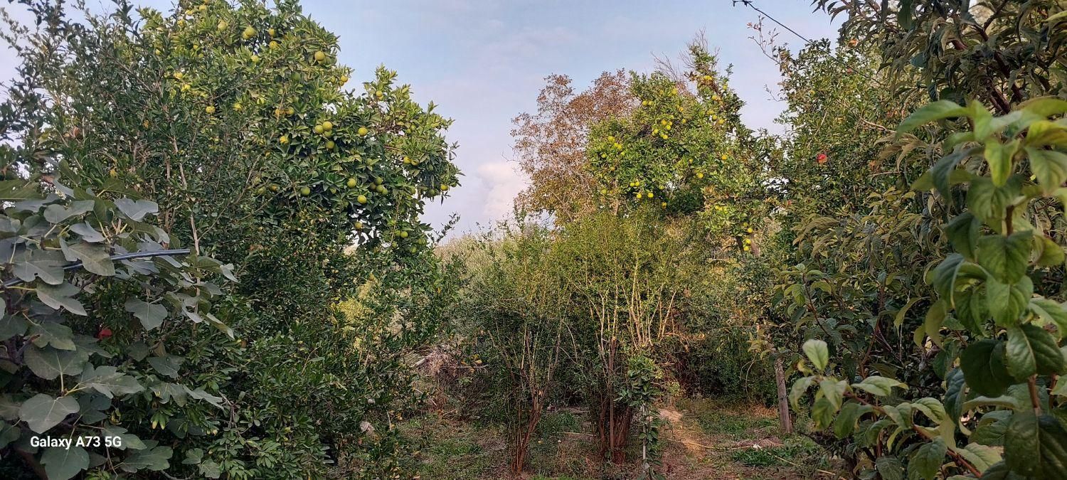 تصویر املاک 4931