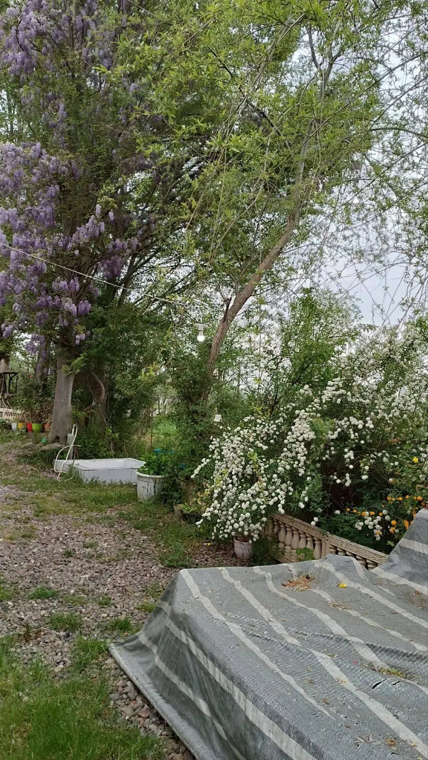 تصویر املاک 106323