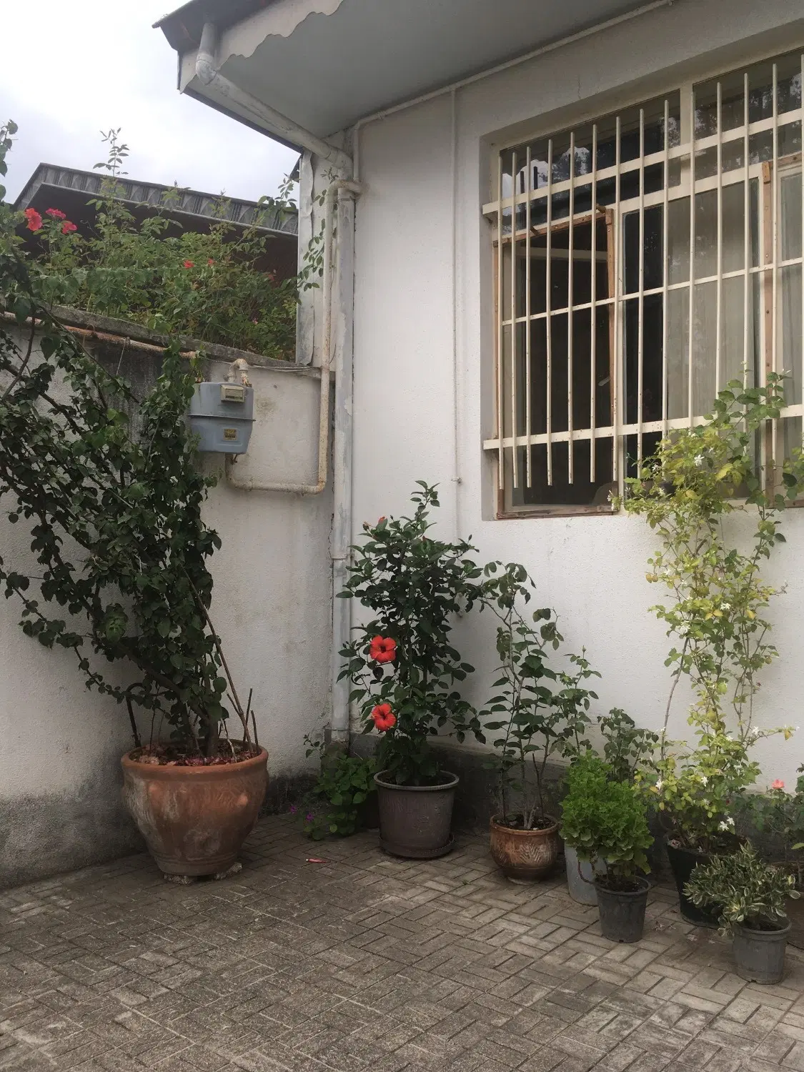 تصویر املاک 55600