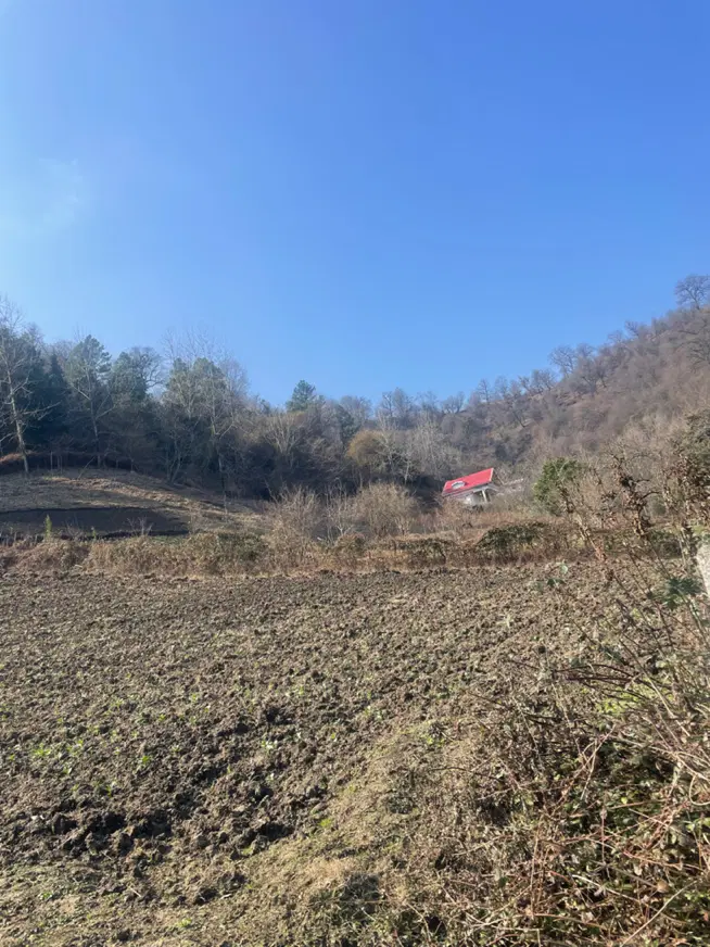 تصویر املاک 122127