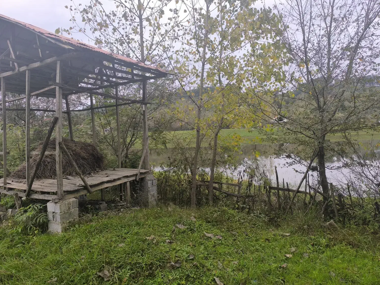 تصویر املاک 36942