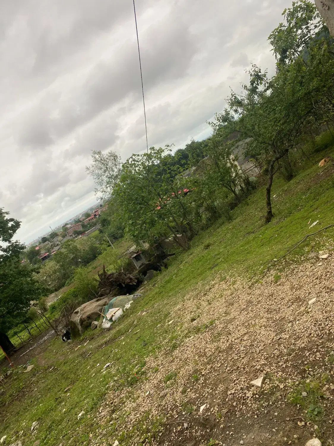 تصویر املاک 16135