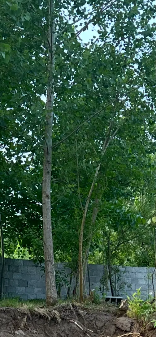 تصویر املاک 72475