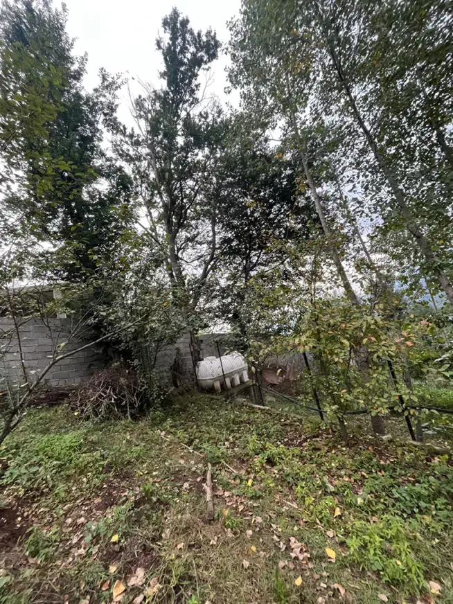 تصویر املاک 8226