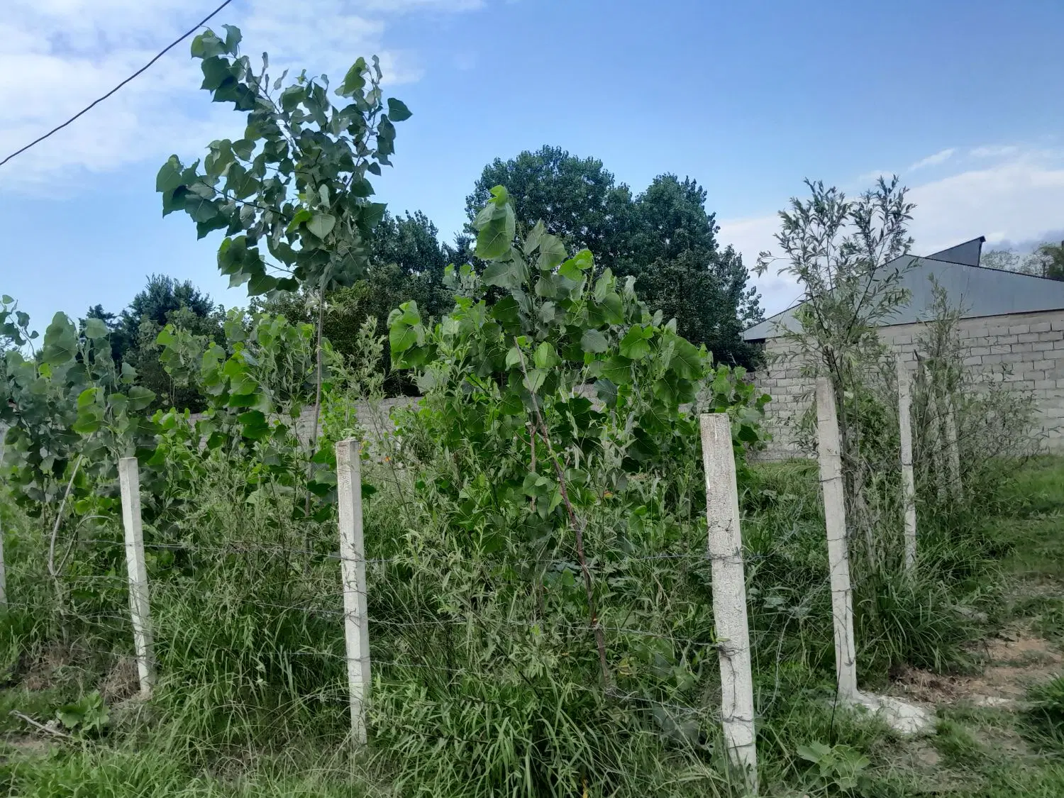 تصویر املاک 68551
