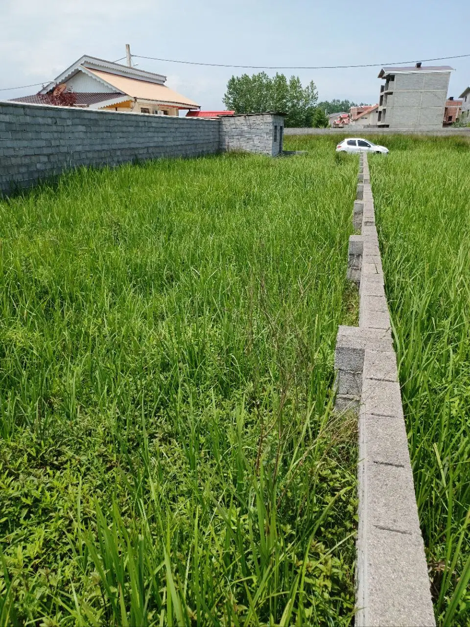 تصویر املاک 103936