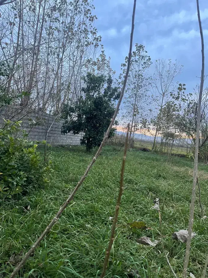 تصویر املاک 36268