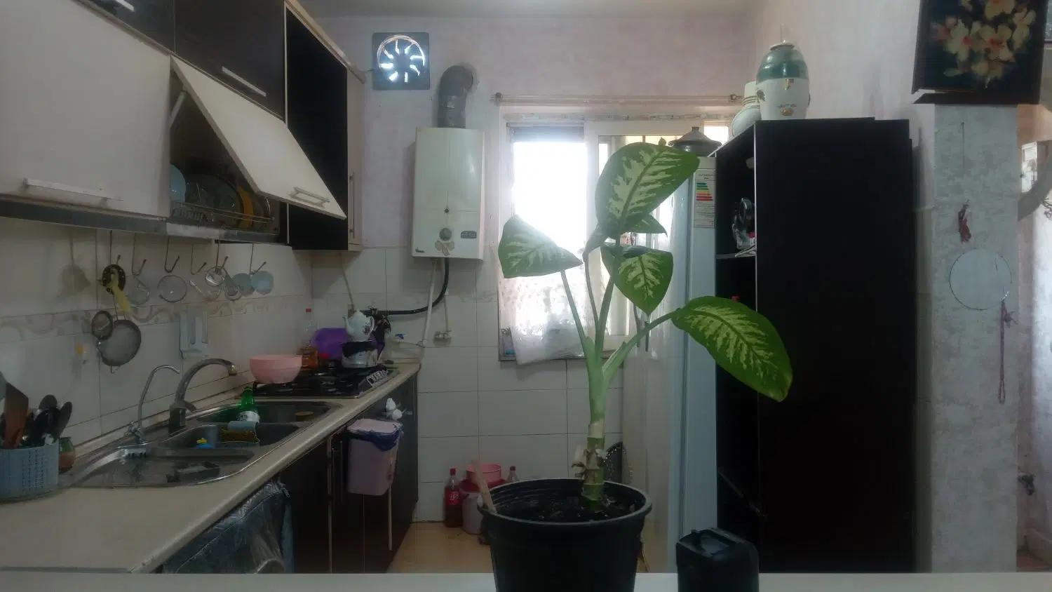 تصویر املاک 109479
