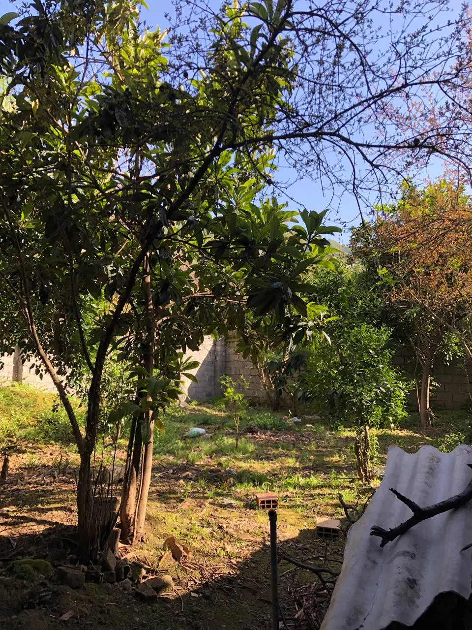 تصویر املاک 107713