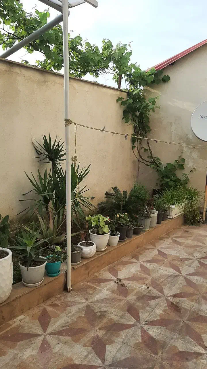 تصویر املاک 7771
