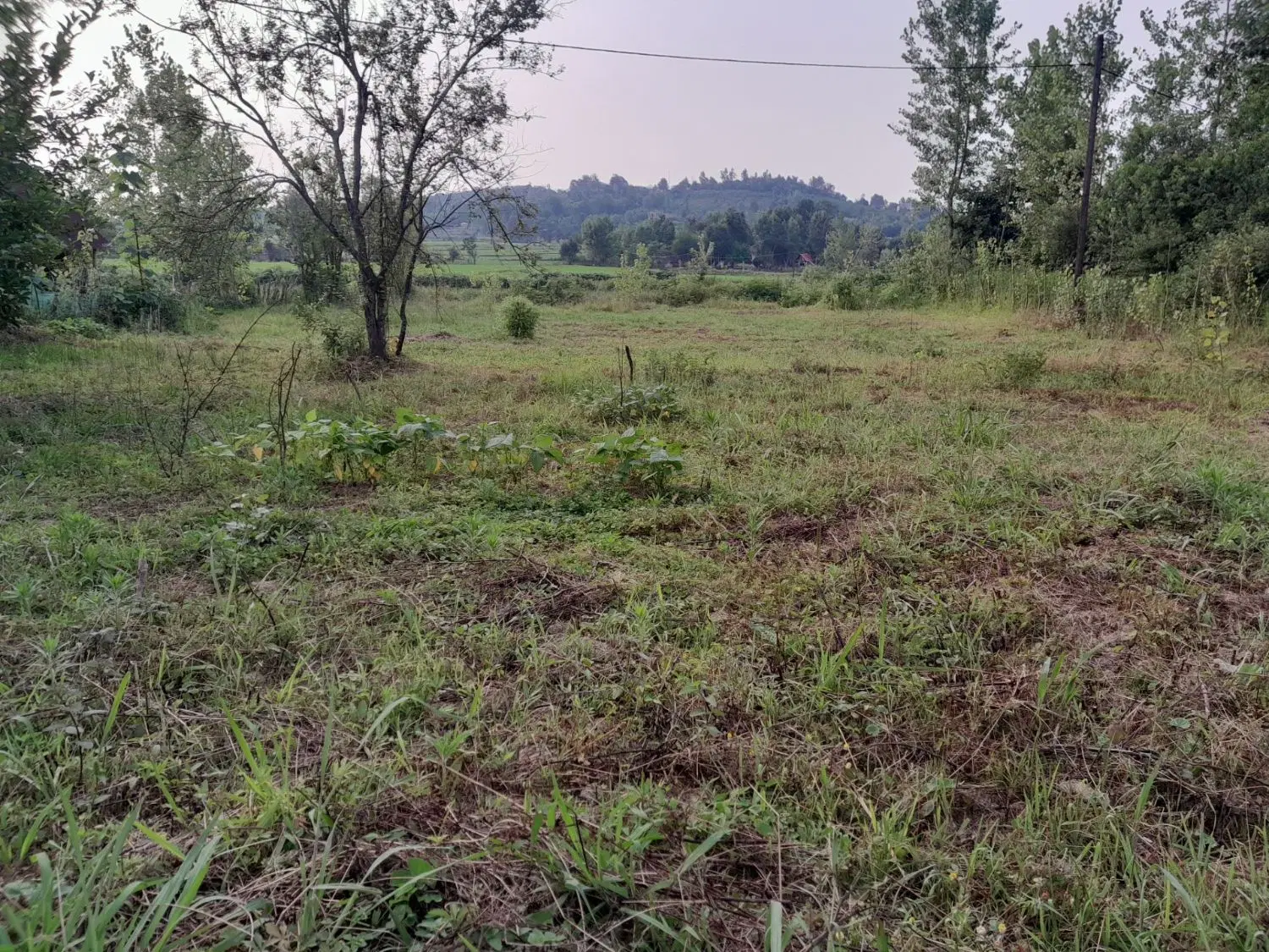 تصویر املاک 57790