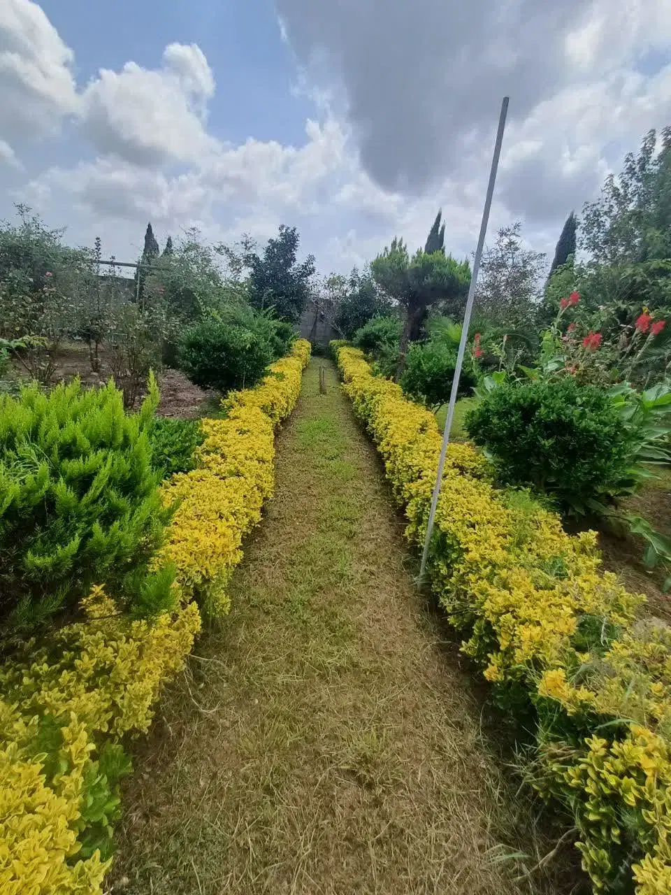تصویر املاک 42178