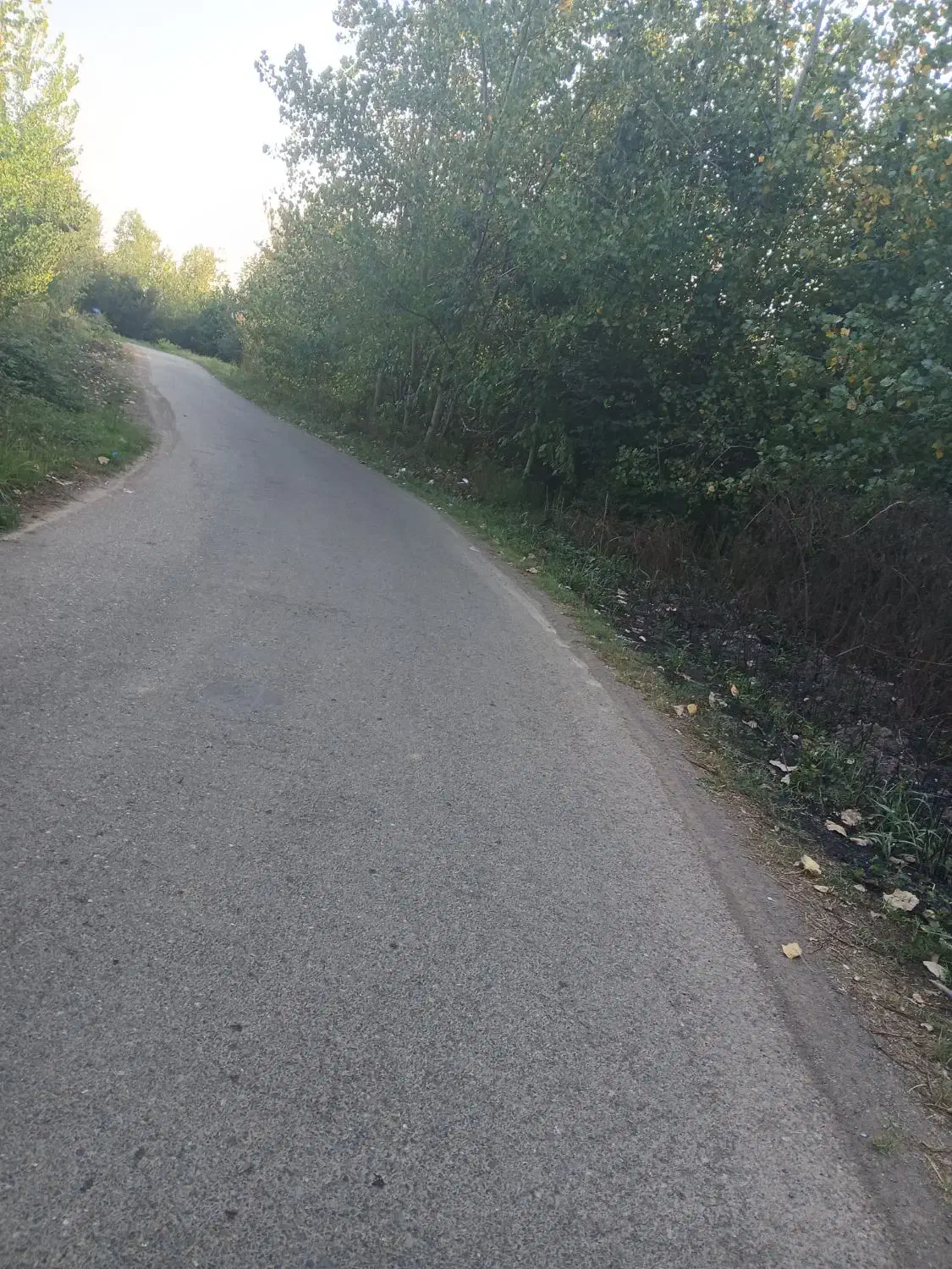 تصویر املاک 5560