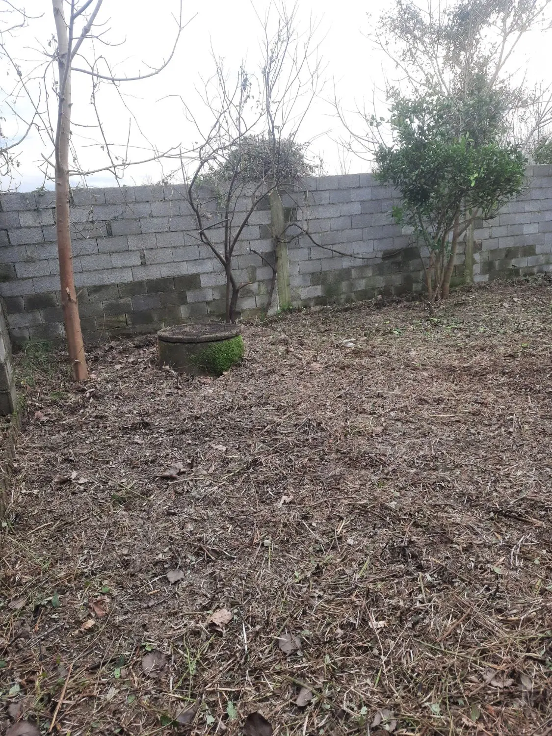 تصویر املاک 126369