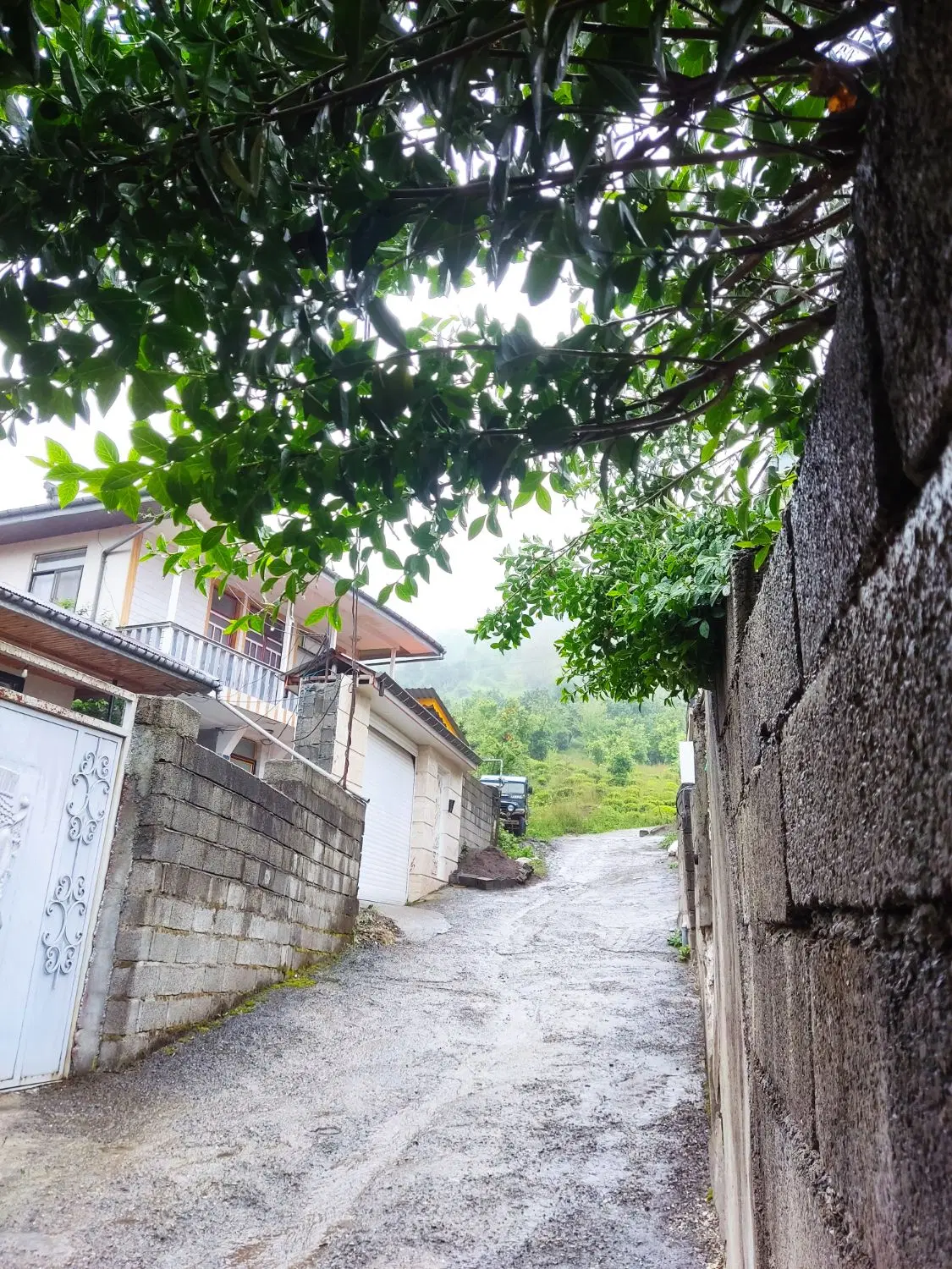 تصویر املاک 71787