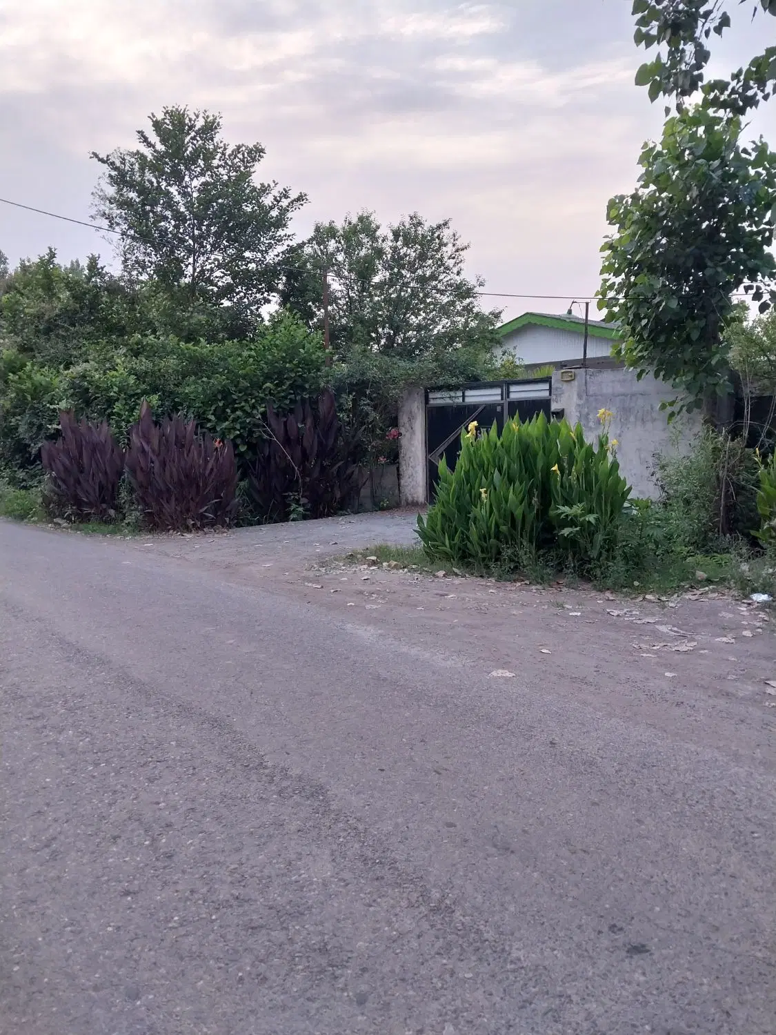 تصویر املاک 72884