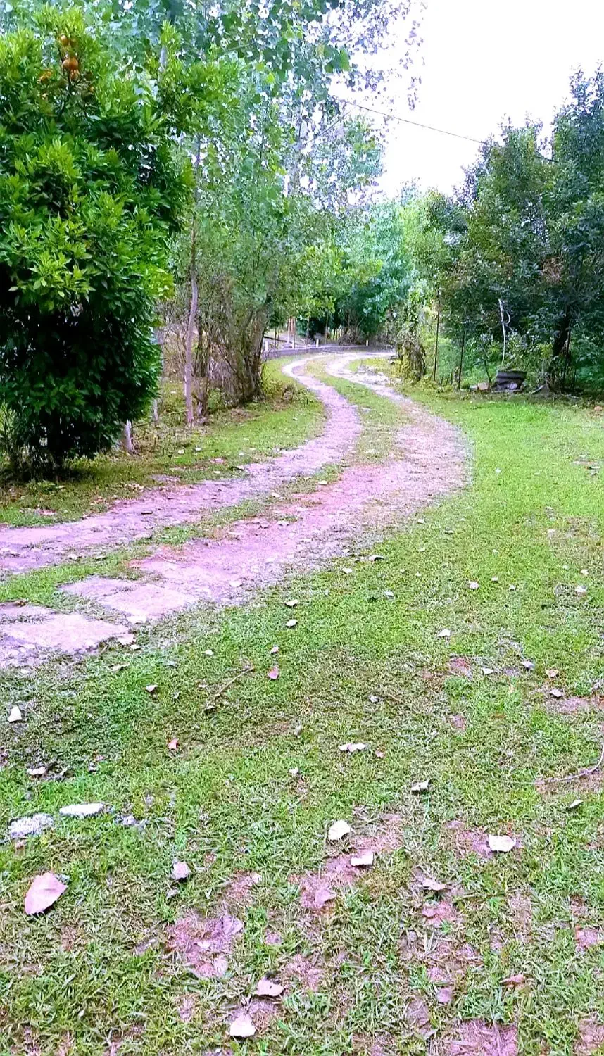 تصویر املاک 39167