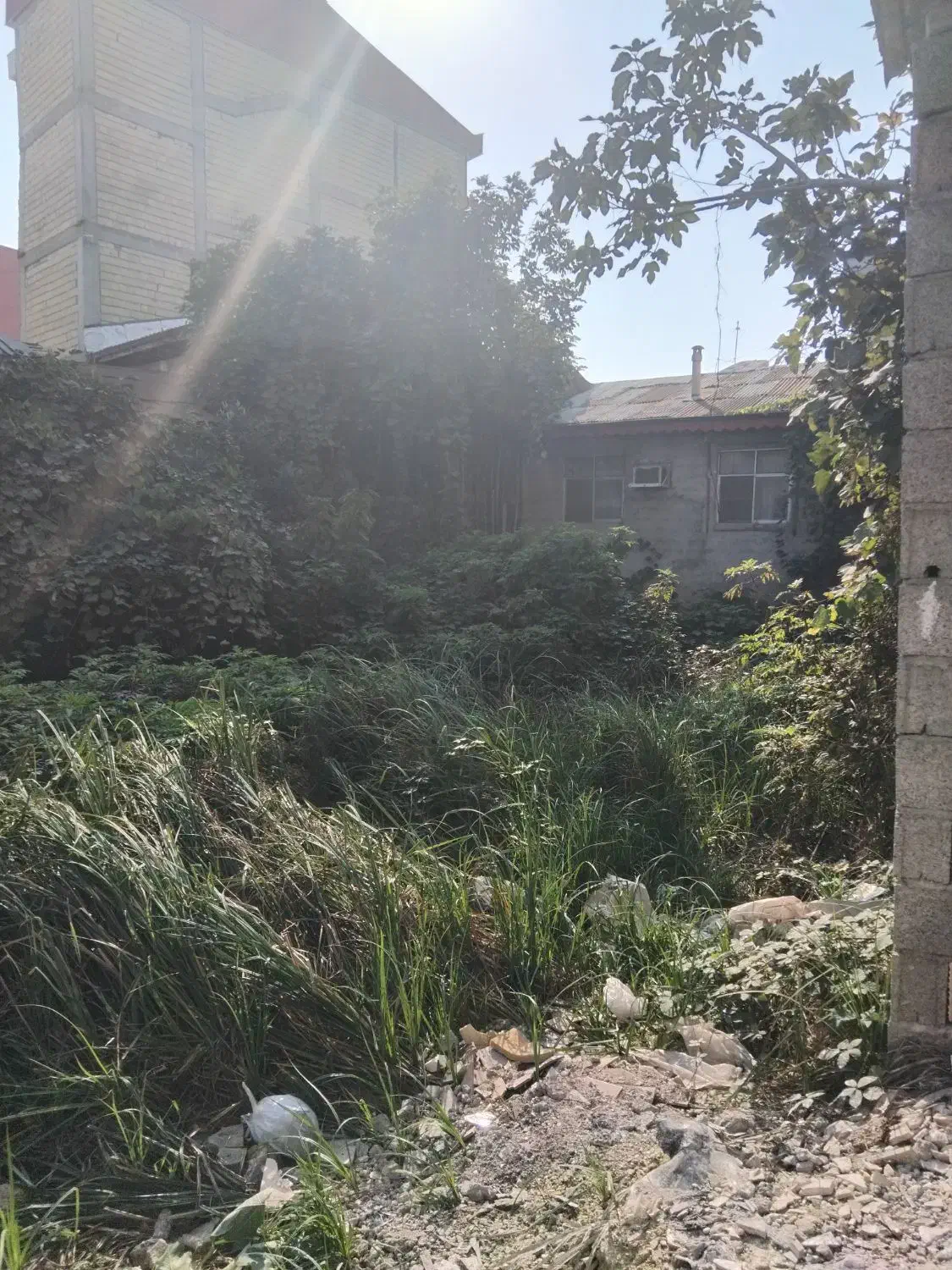 تصویر املاک 12314