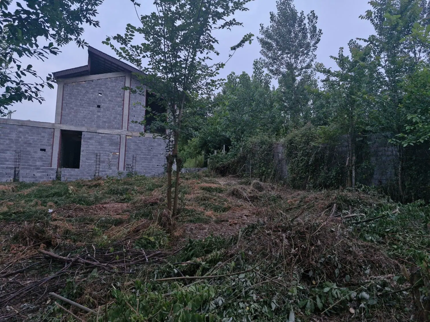 تصویر املاک 56066