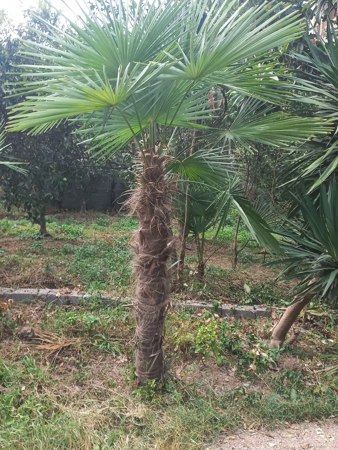 تصویر املاک 114918