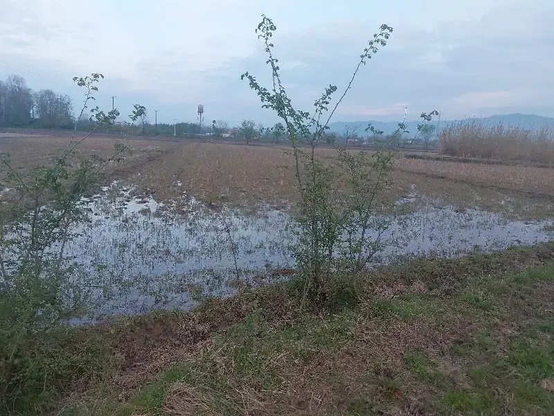 تصویر املاک 54678