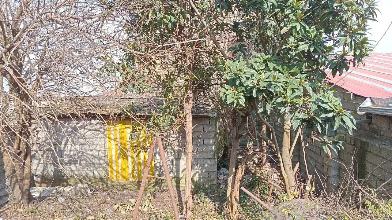 تصویر املاک 115088