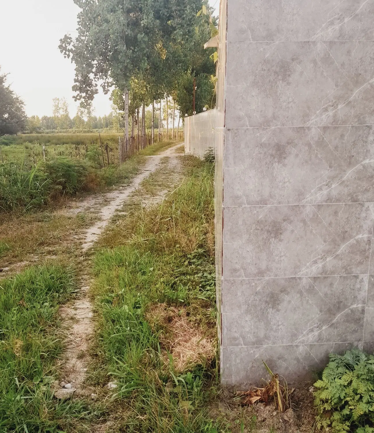 تصویر املاک 57412