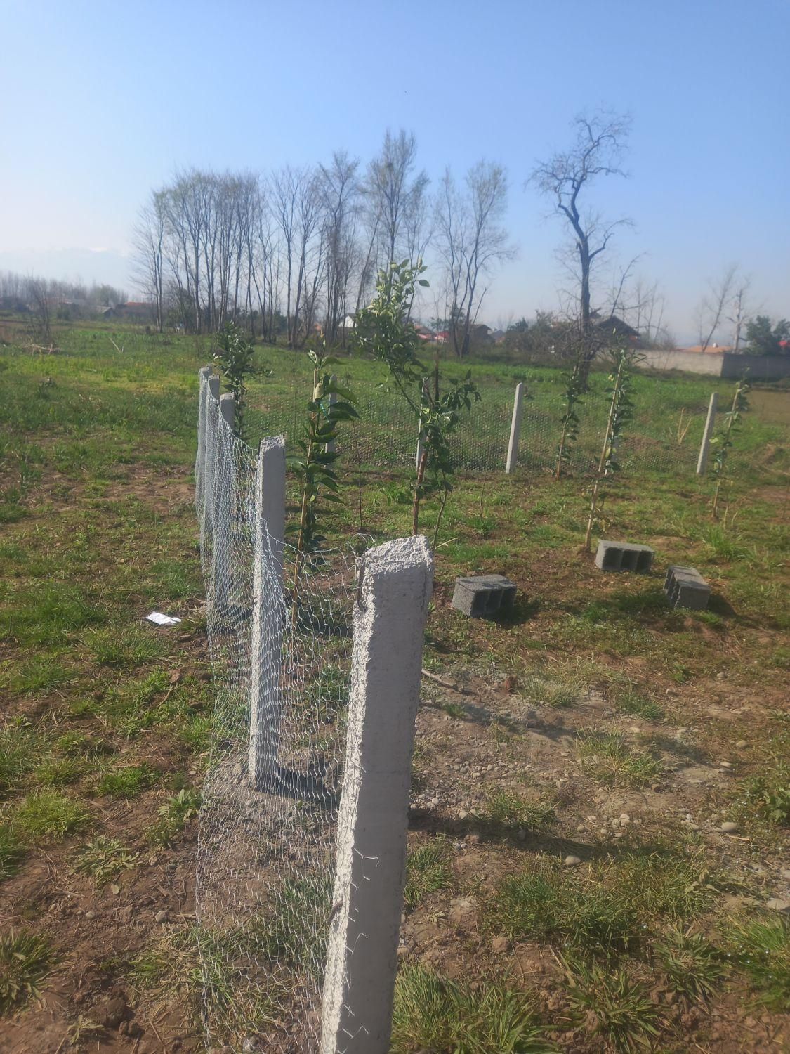 تصویر املاک 22661