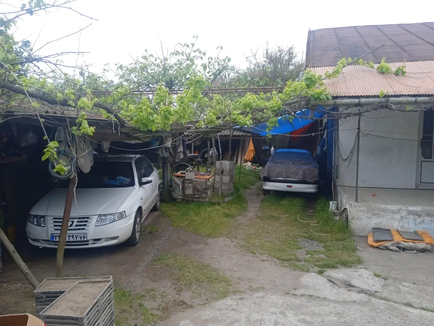 تصویر املاک 34586