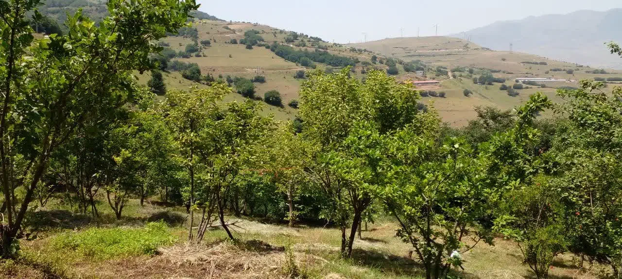 تصویر املاک 8527