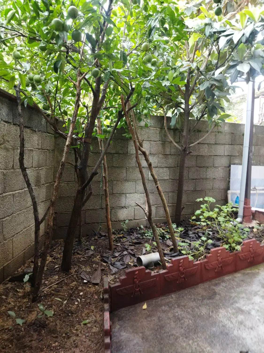 تصویر املاک 5886